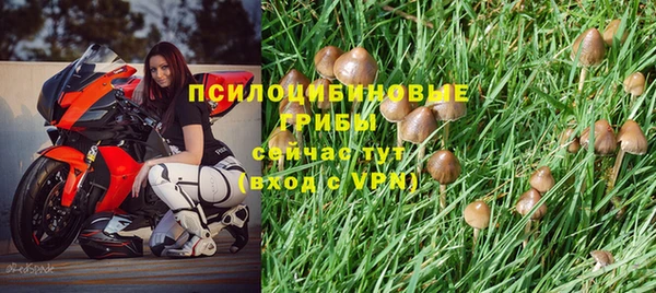 PSILOCYBIN Алексеевка